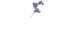 Darling Olives